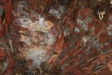 Colorful, Petrified Wood Slab - Texas #236524-1